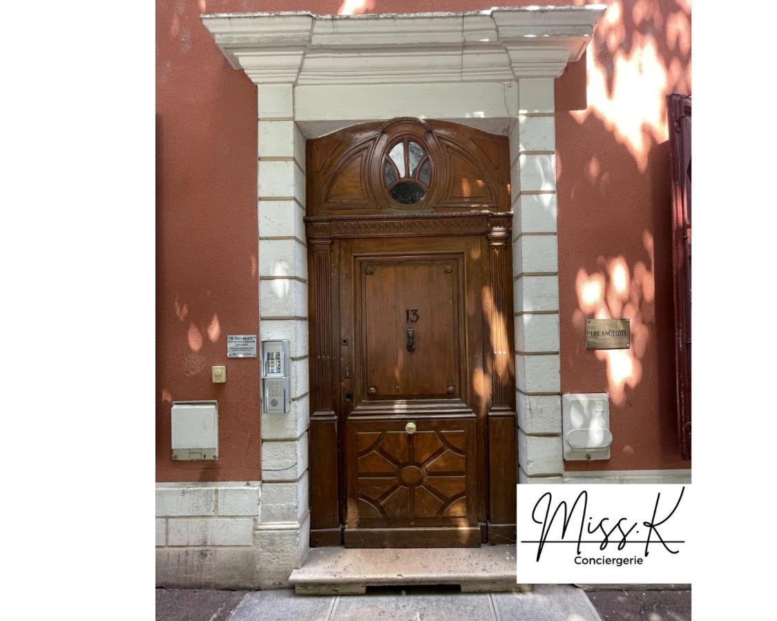 "Les Angelots" Apartment Mâcon Exterior photo